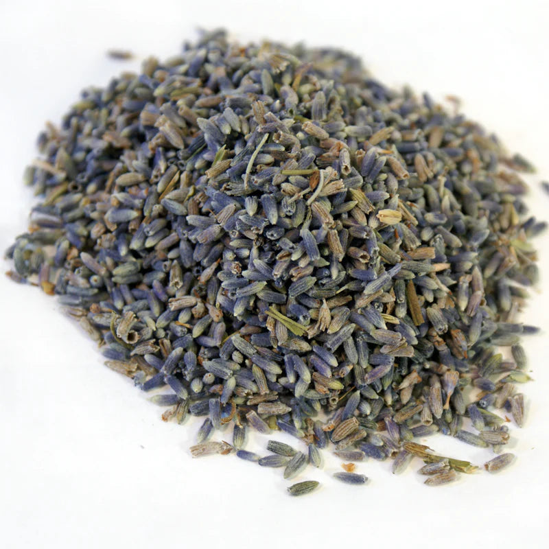 Organic Lavender (Lavandula angustifolia )