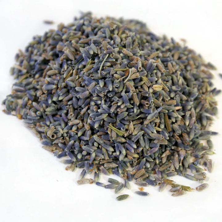 Organic Lavender (Lavandula angustifolia )