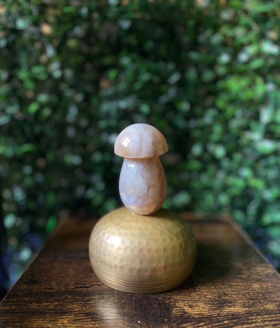 Agate Mushroom.