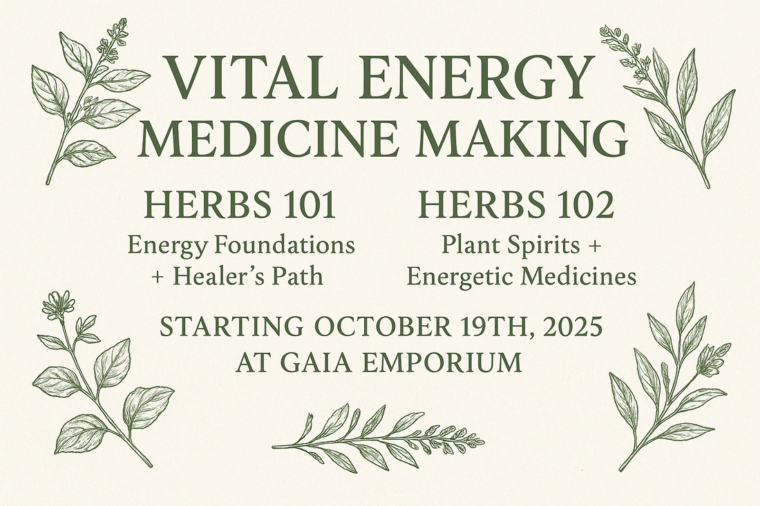 Vital Energy Medicine Making Class.
