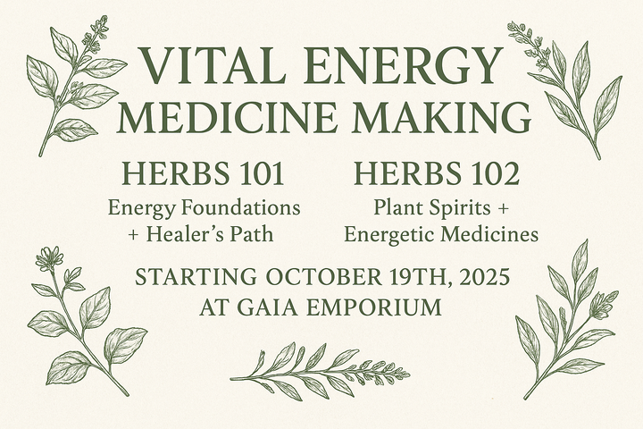 Vital Energy Medicine Making Class.