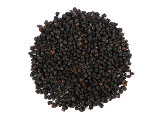 Organic Elderberry (Sambucus nigra)