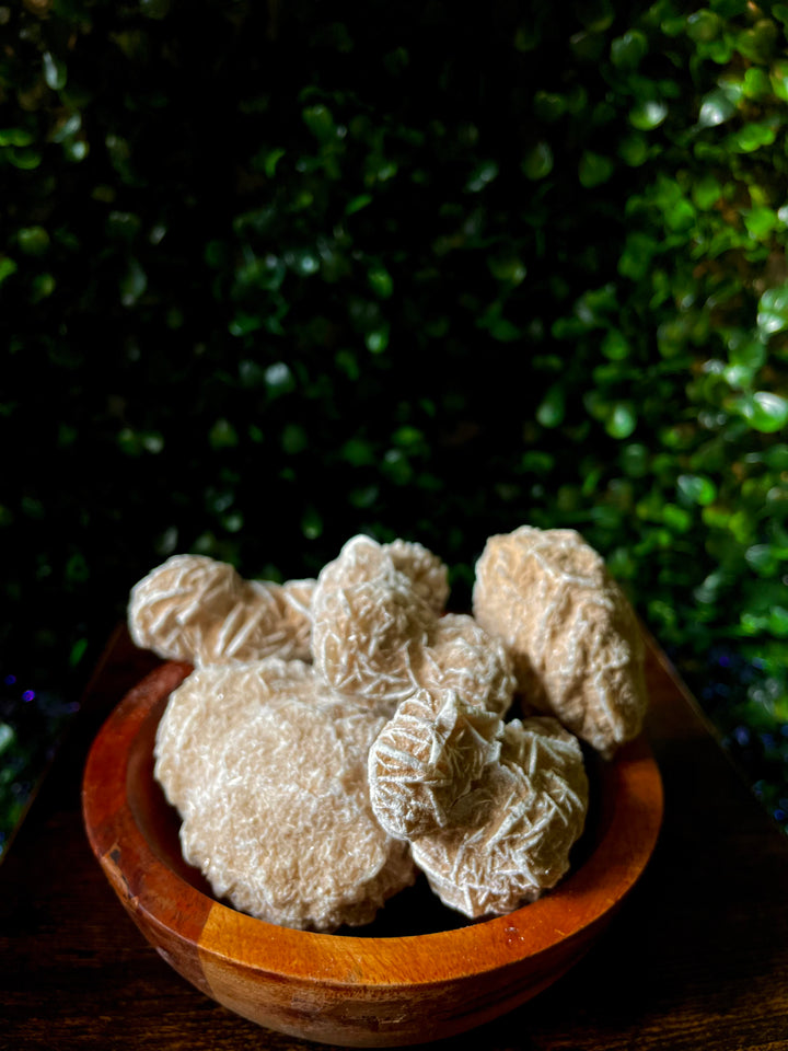 Desert Rose.