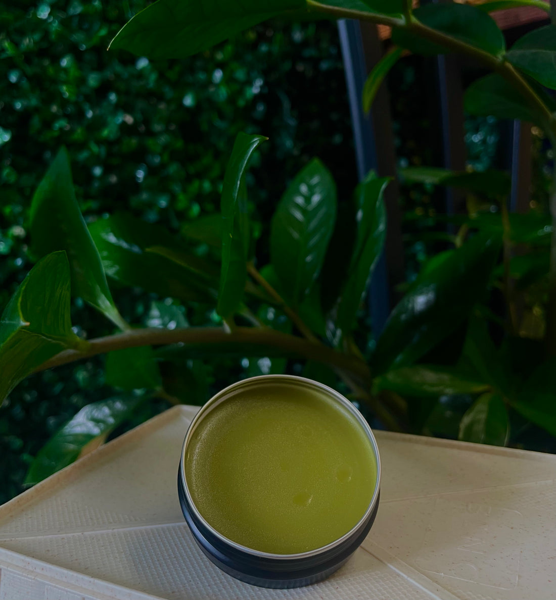 Willow + Comfrey Healing Salve