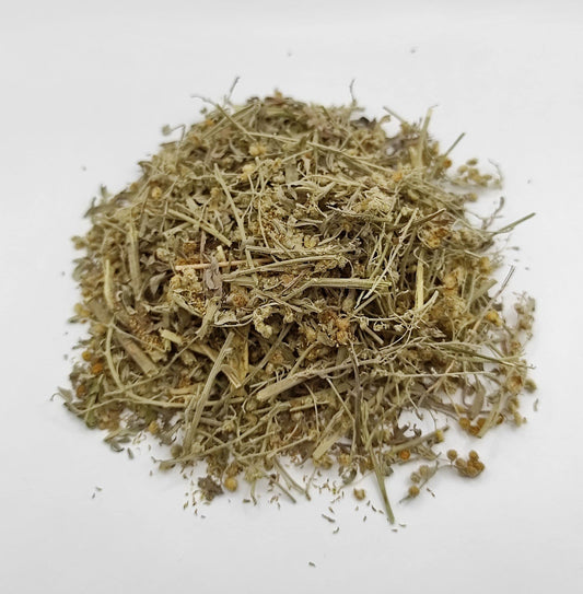 Organic Wormwood (Artemisia absinthium)